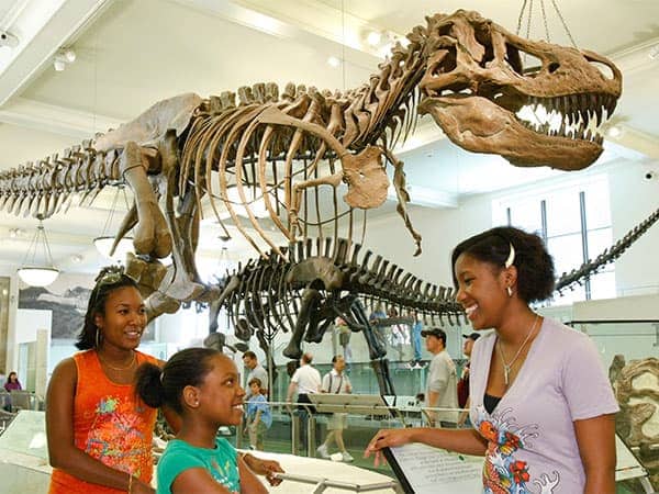 Museum of Natural History