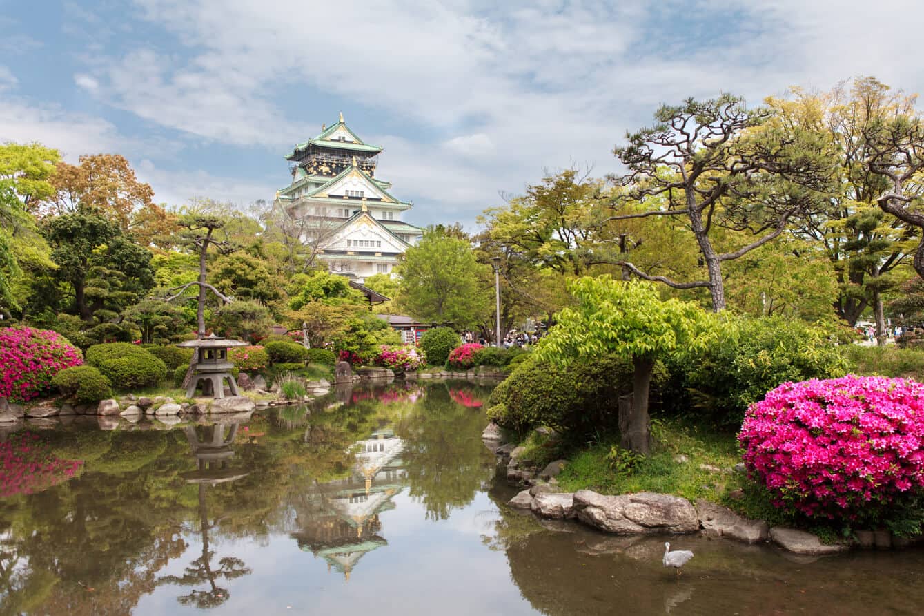 Copa Mundial de Rugby en Japón: Osaka