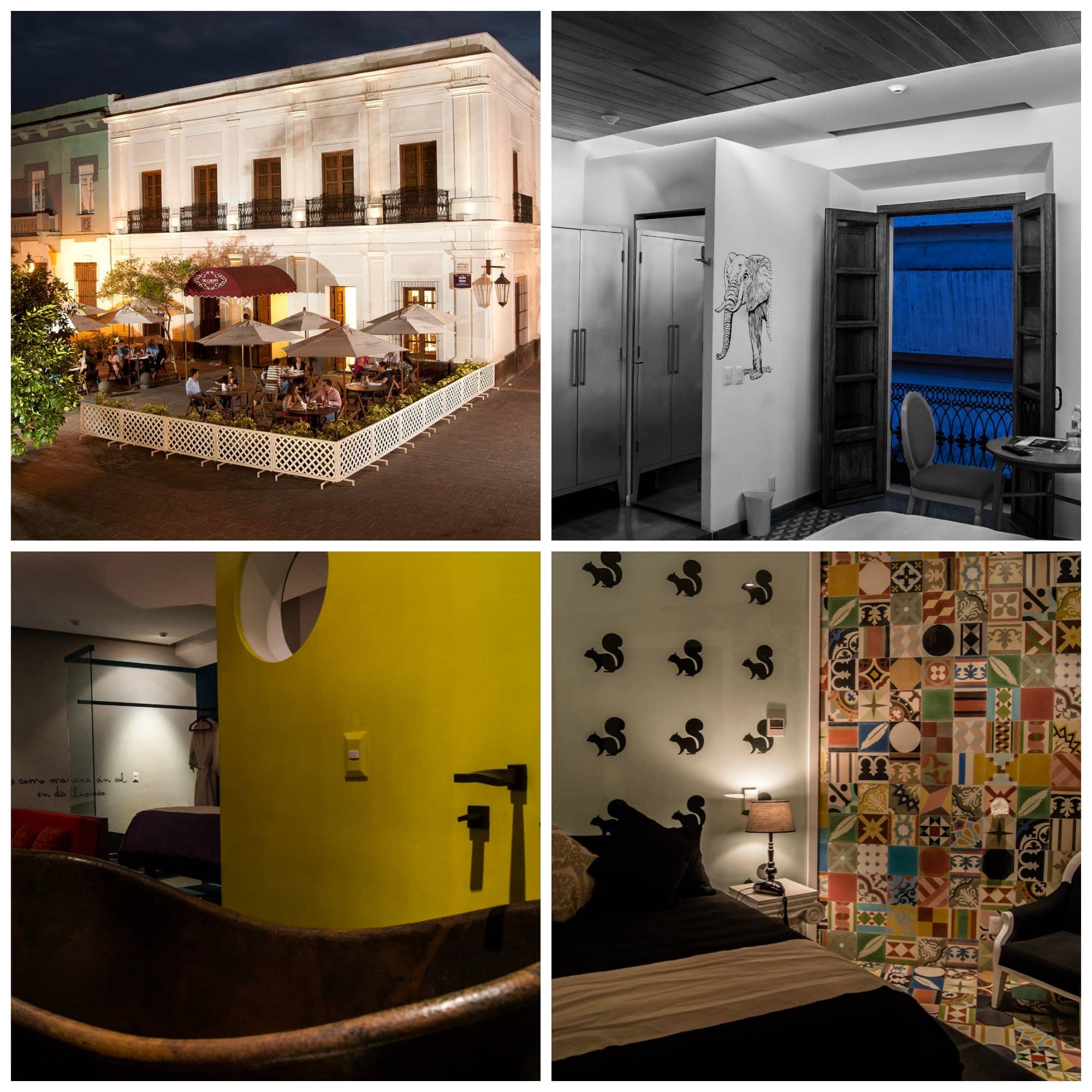DelCarmen_Collage
