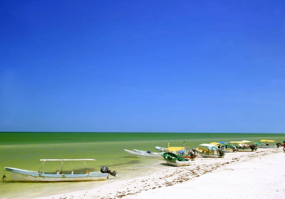 Celestún, Yucatan
