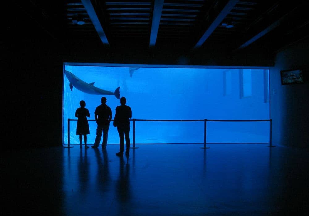 acuario de Veracruz