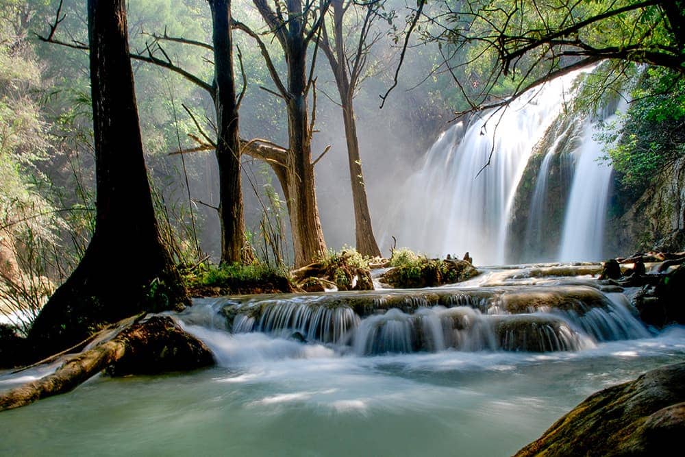 Ecoturismo en Chiapas Ecoturismo en Selva Lacandona, Chiapas