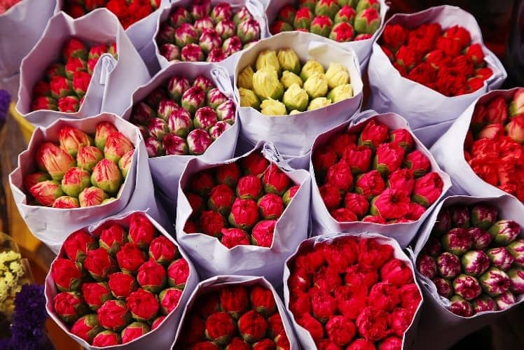 Flores