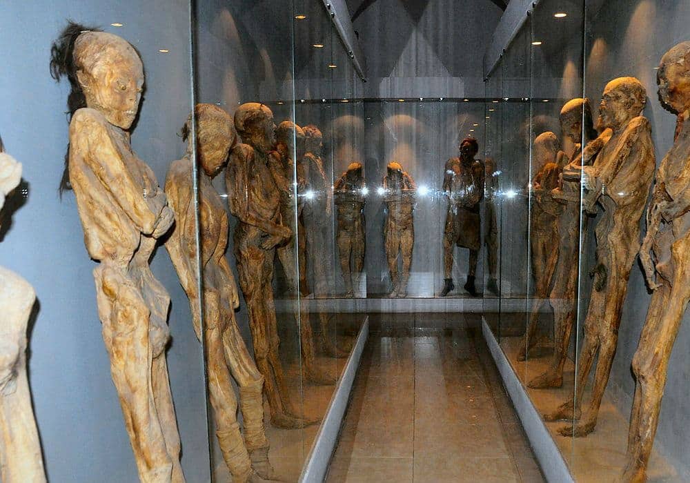 Museo de las Momias