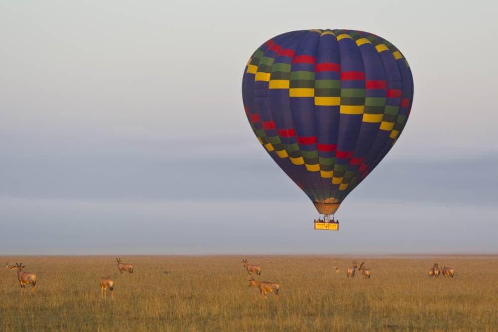 Paseo en globo aerostático sobre el Serengueti, Tanzania