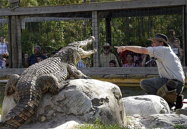 Gatorland