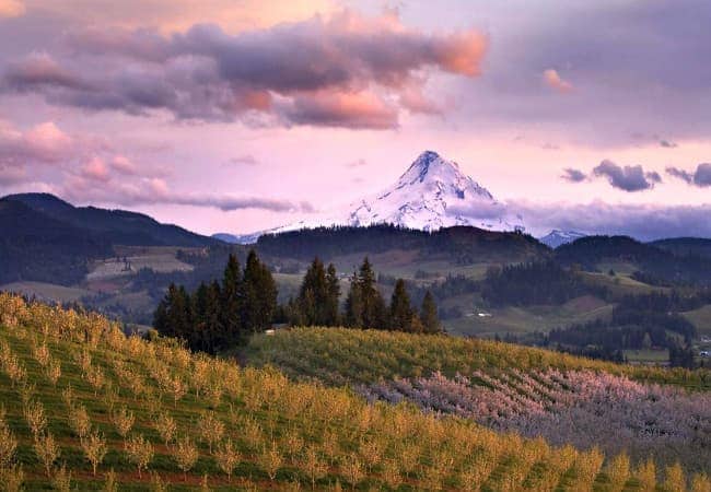 wine tasting