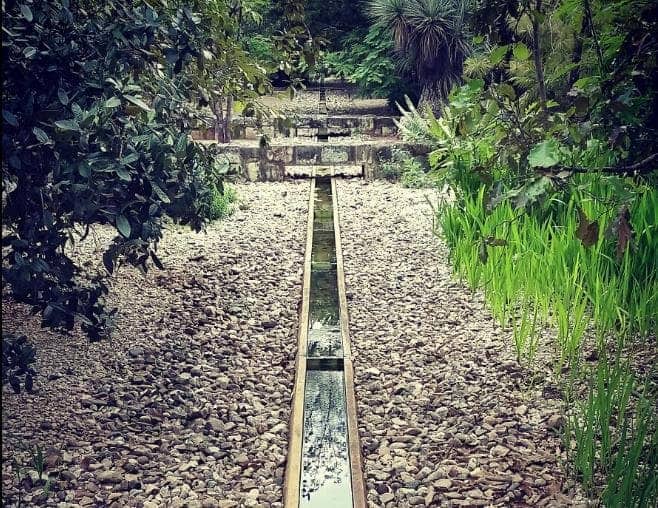 Botanical Garden in Oaxaca.  Photo: Creattive Commons