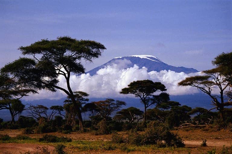 Kilimanjaro