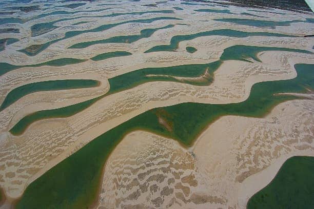 Lago M