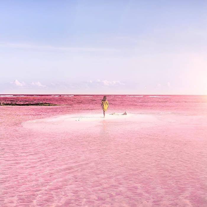 Las Coloradas, Yucatán Foto: @Marisahampe