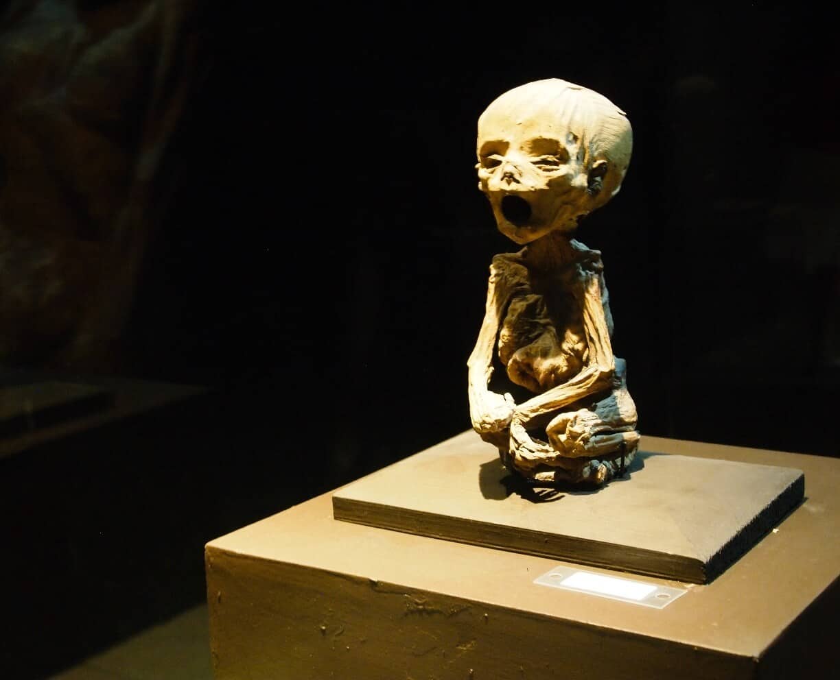 Momia más pequeña del mundo en Guanajuato Museo de las Momias de Guanajuato