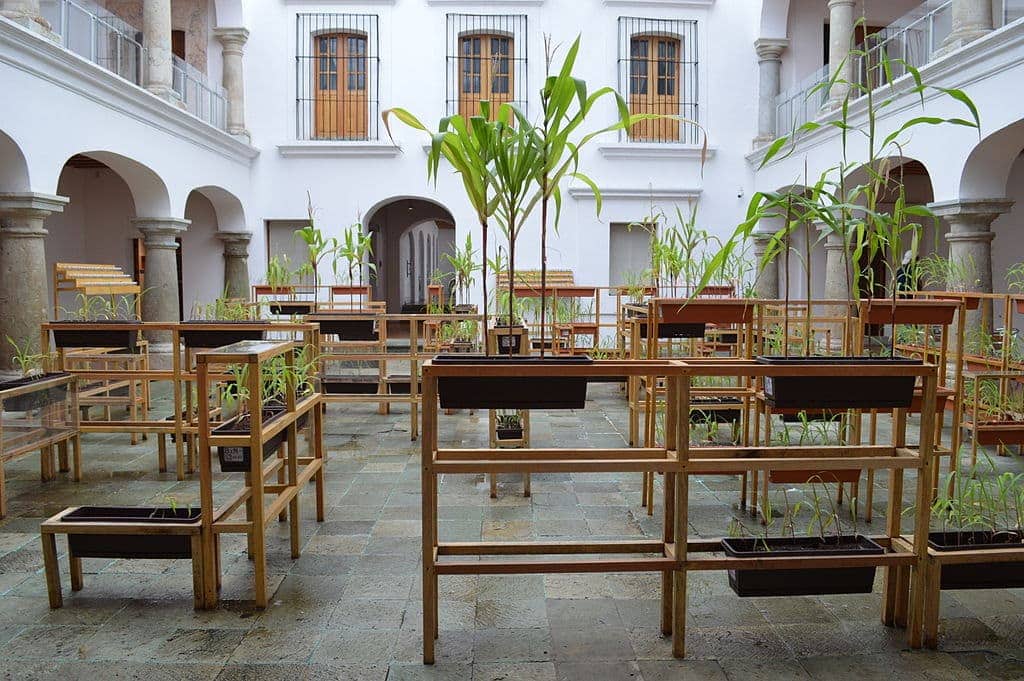 Oaxaca Contemporary Art Museum