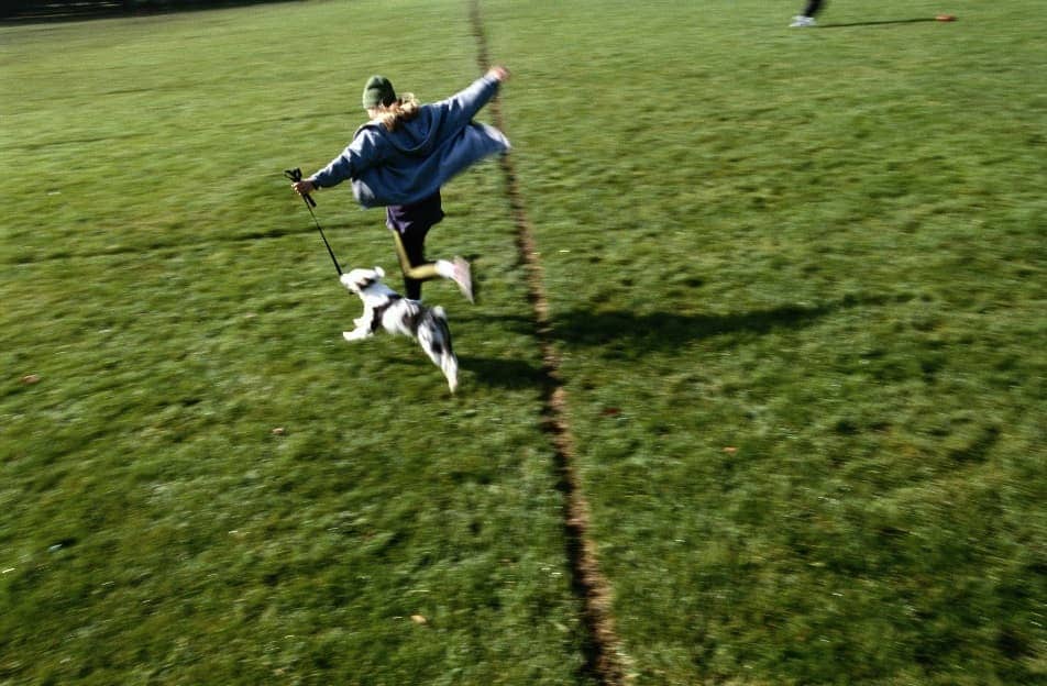Perr_corriendo