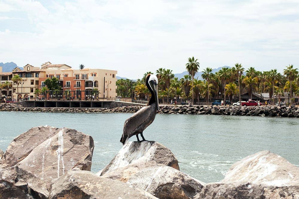 Loreto, Baja California Sur.