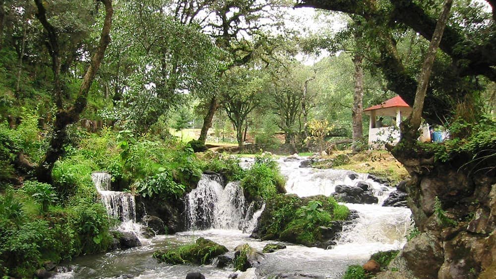 Nanciyaga Lake, Veracruz. 