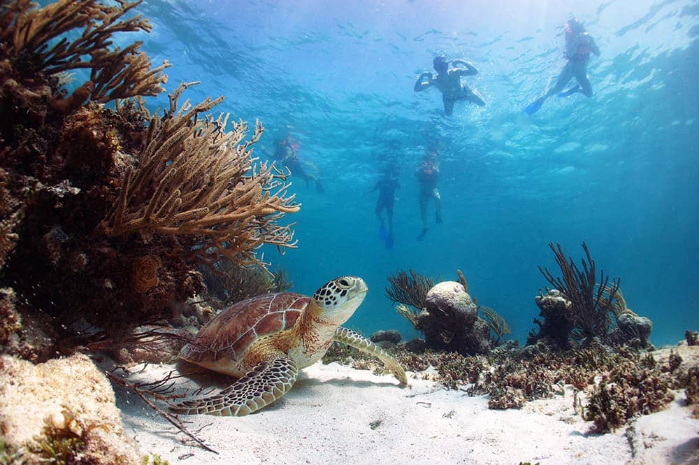 Akumal, Riviera Maya.