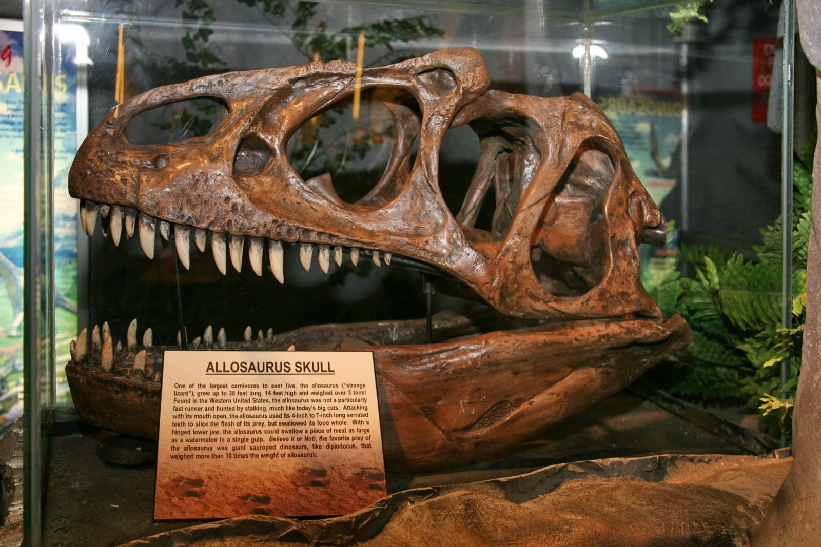 Ripley's Museum Orlando