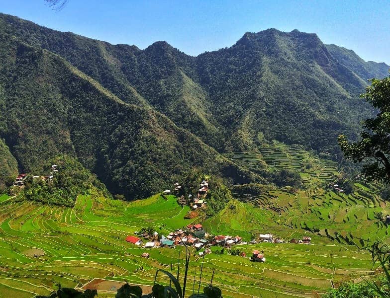 Rice Terraces_Banaue