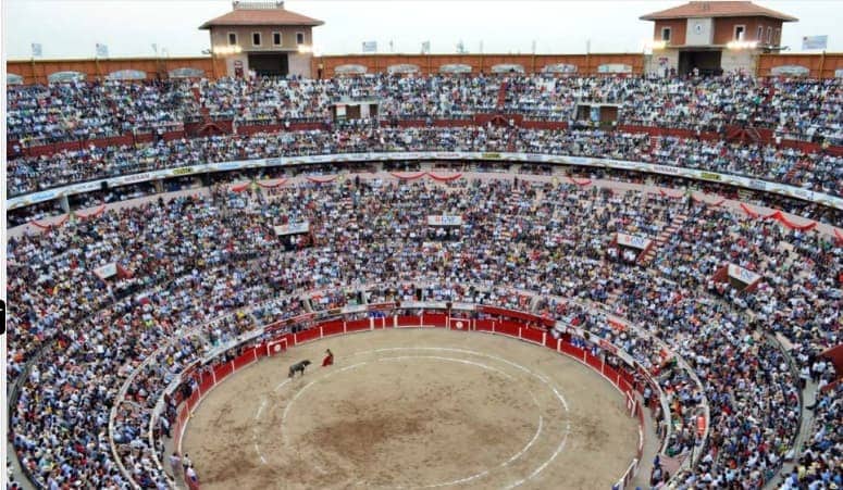 Toros_San_Marcos