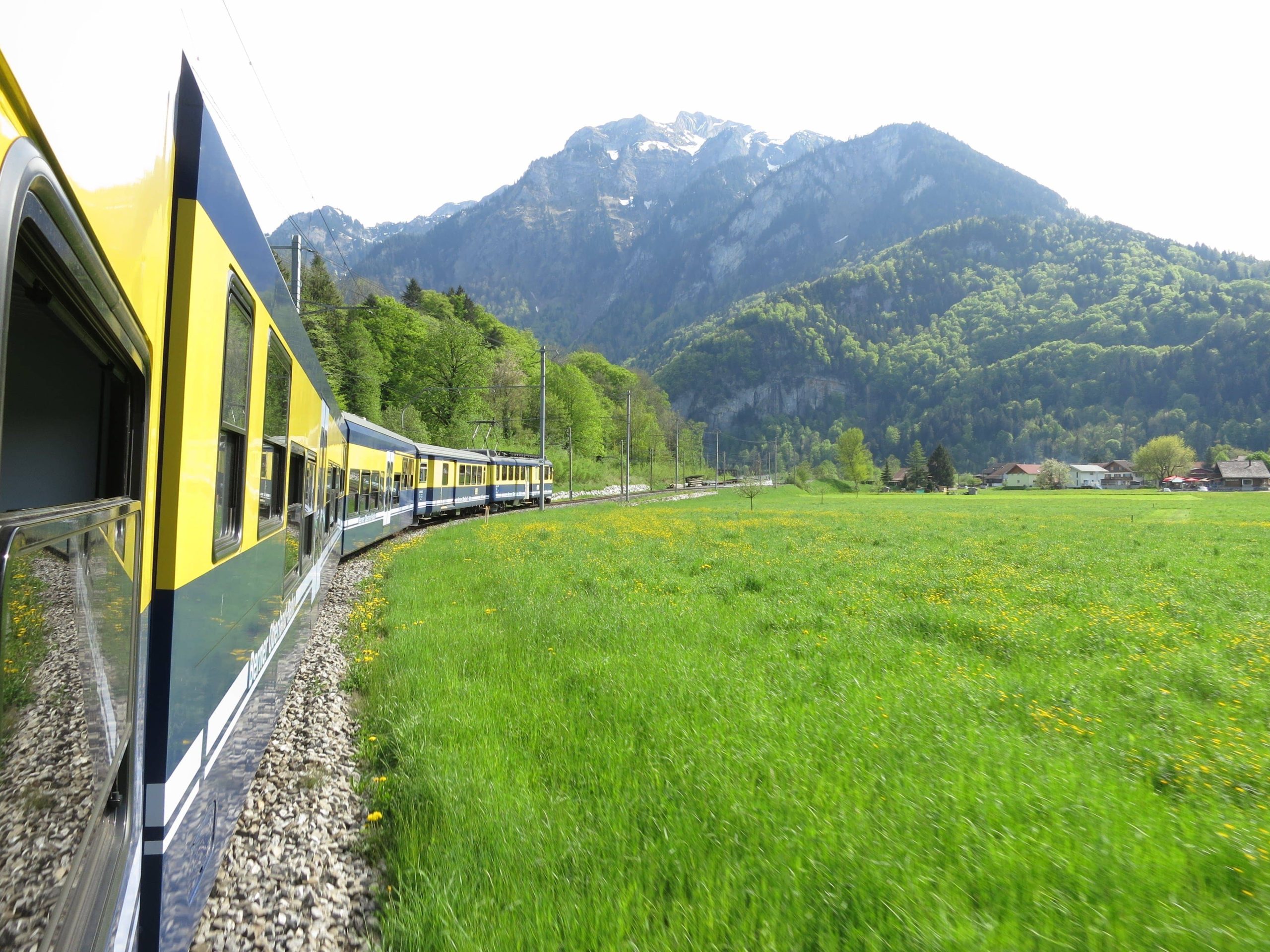 Tren