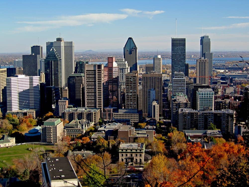 Vista Mont Royal