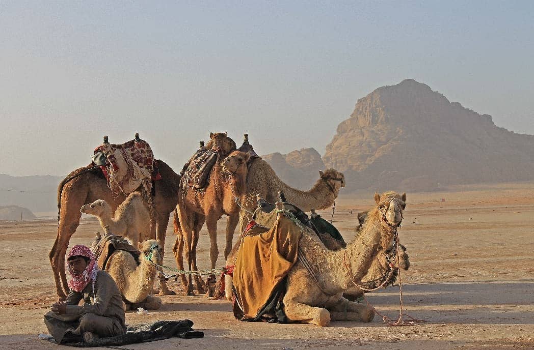 WadiRum2