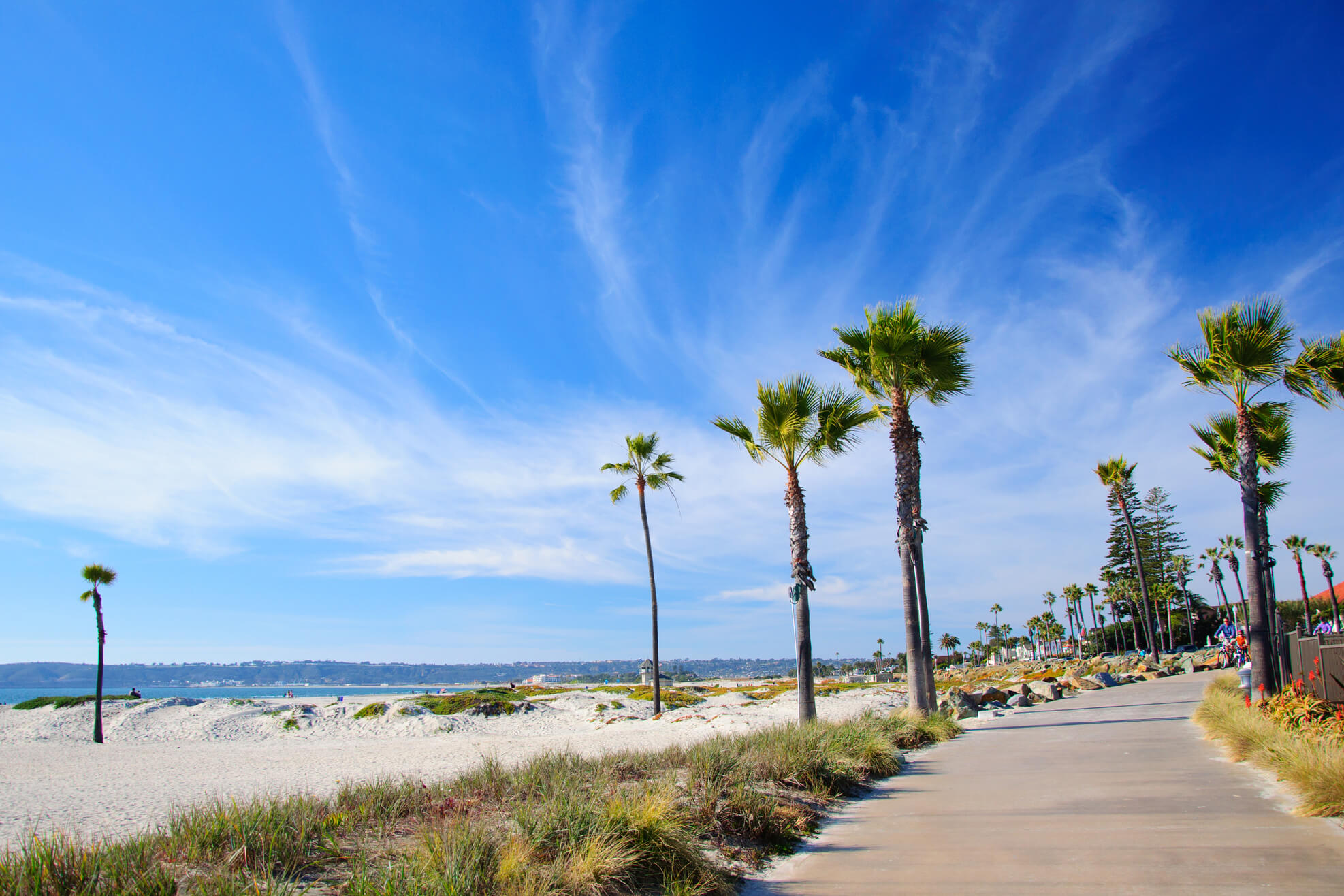 Fin de Año en San Diego