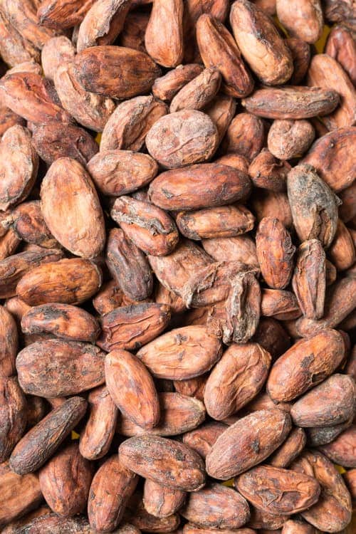 Una imagen de cacao crudo en México.