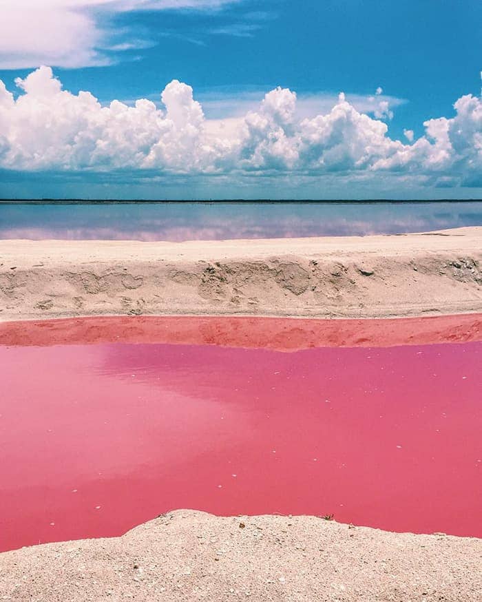 Las Coloradas, Yucatán Foto: @fercabreara27