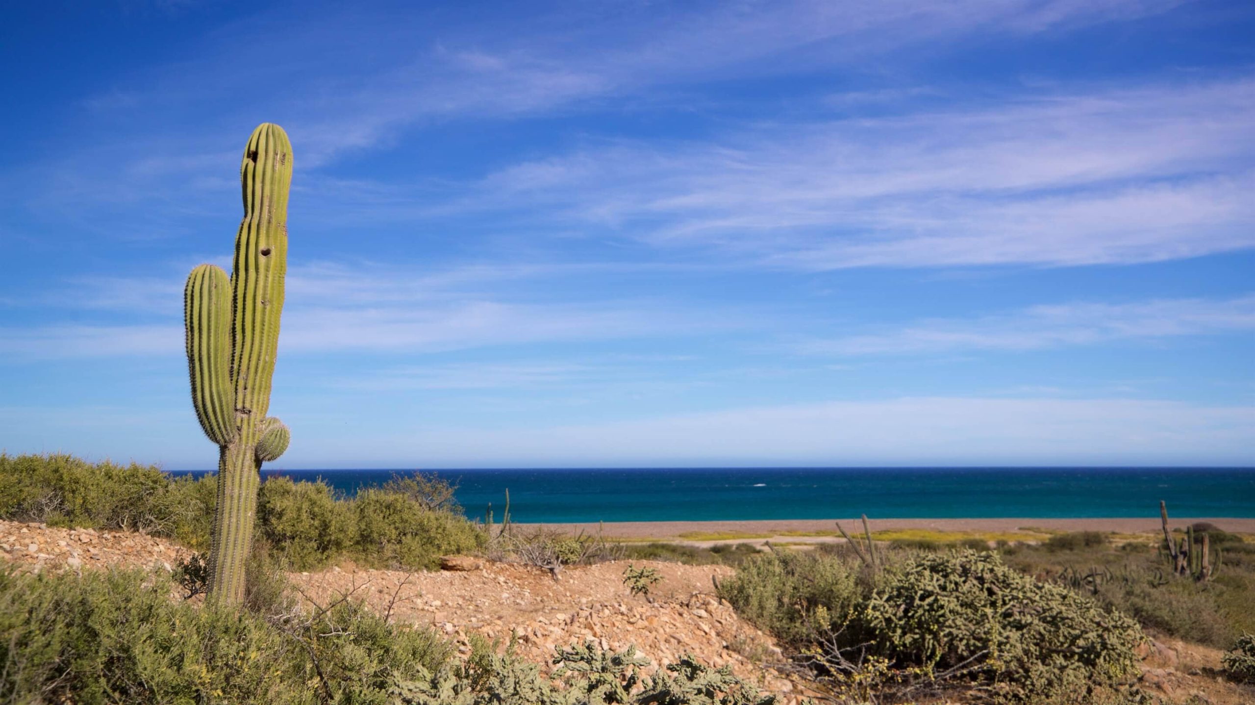 Itinerarios en Los Cabos: Naturaleza