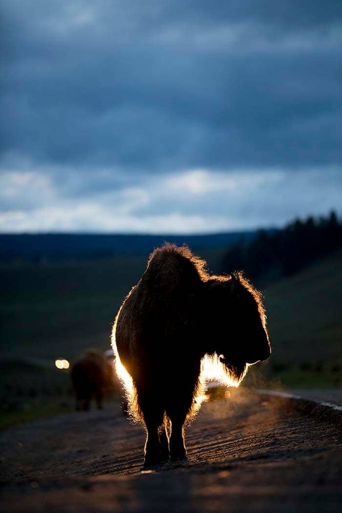 Parque Nacional Yellowstone