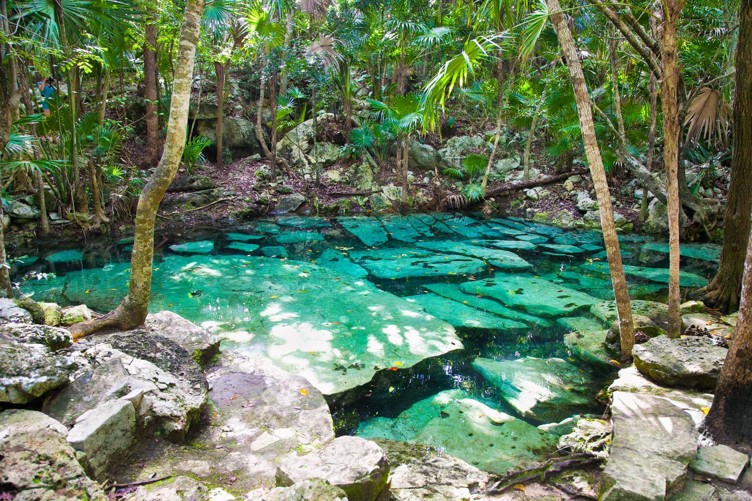 Playa del Carmen sin sargazo