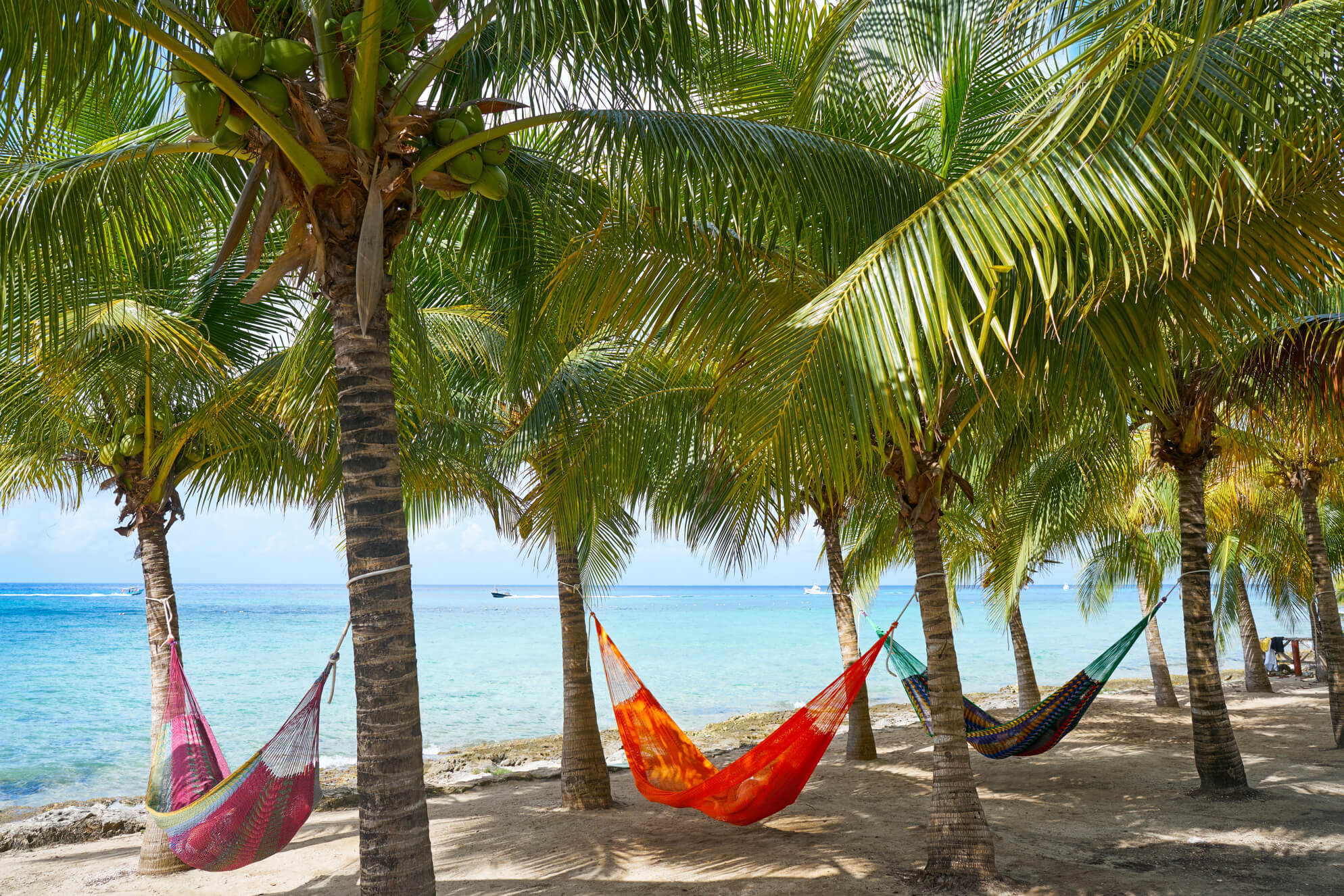 Playas de Quintana Roo: Cozumel