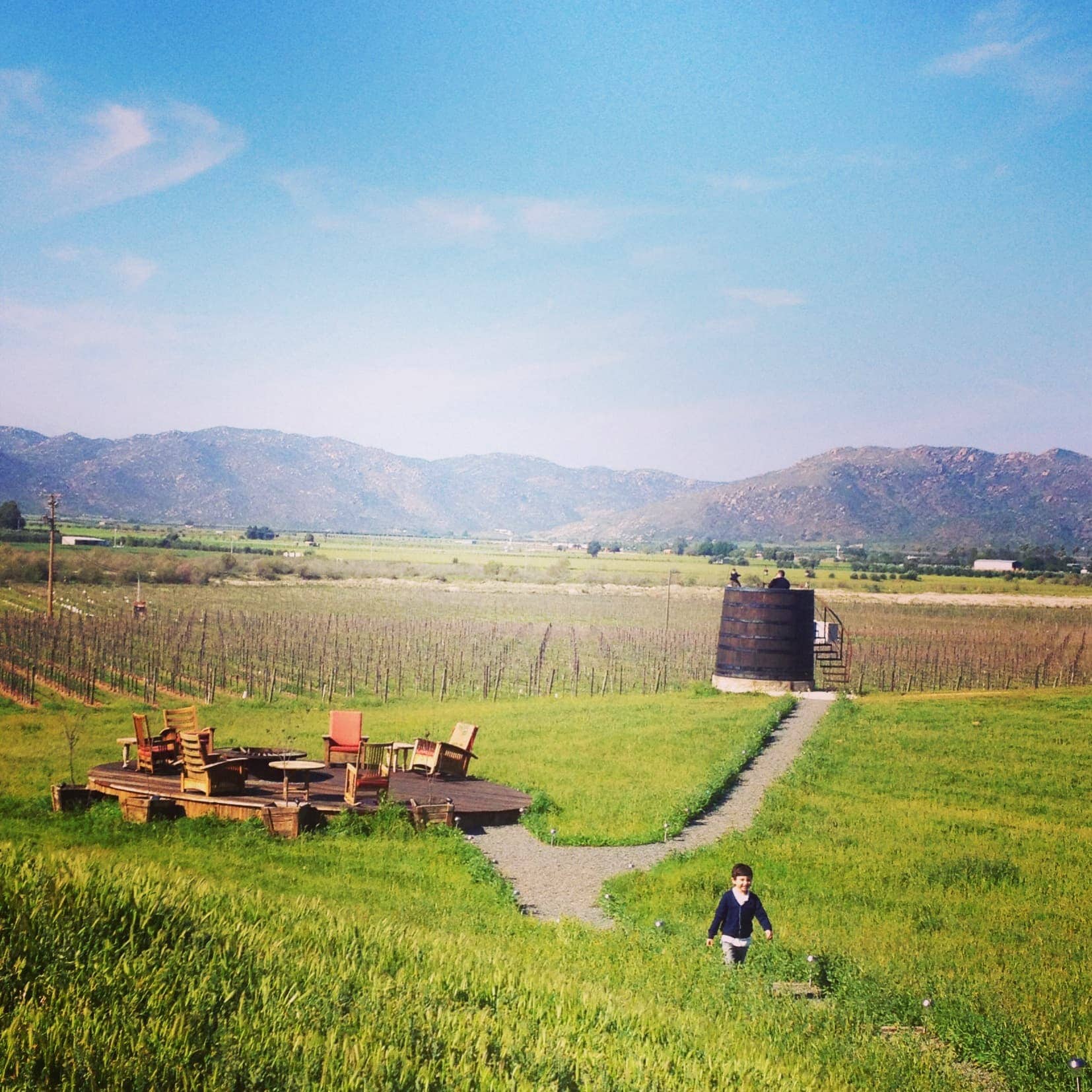 Valle de Guadalupe