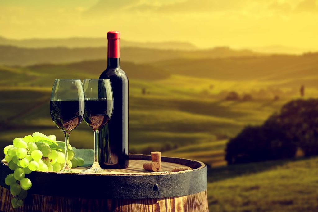 Vendimia en México, Monte Xanic, Valle de Guadalupe Vendimia en México, Monte Xanic, Valle de Guadalupe
